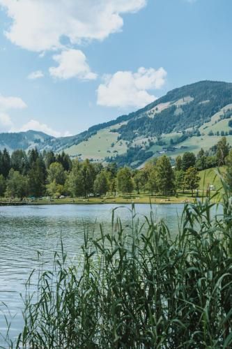 Outdoor Pictures 24