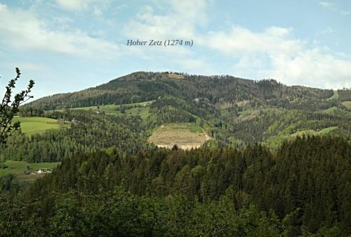 Outdoor Pictures 17