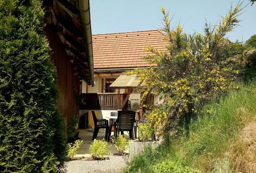 Outdoor Pictures 24