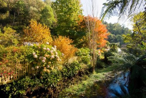 Outdoor Pictures 20