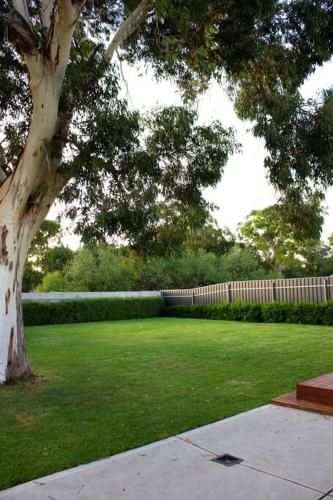Outdoor Pictures 24