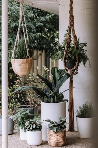 Outdoor Pictures 5