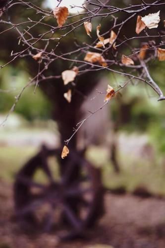Outdoor Pictures 8