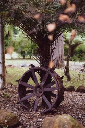 Outdoor Pictures 12