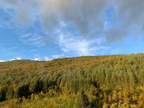Outdoor Pictures 21