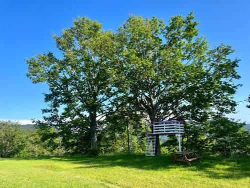 Outdoor Pictures 16