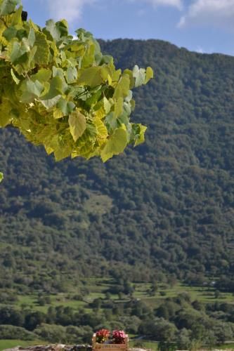 Outdoor Pictures 20