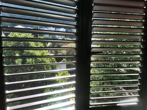 Outdoor Pictures 4