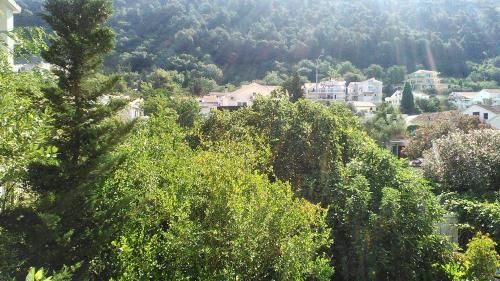 Outdoor Pictures 15