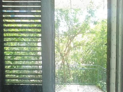 Outdoor Pictures 12