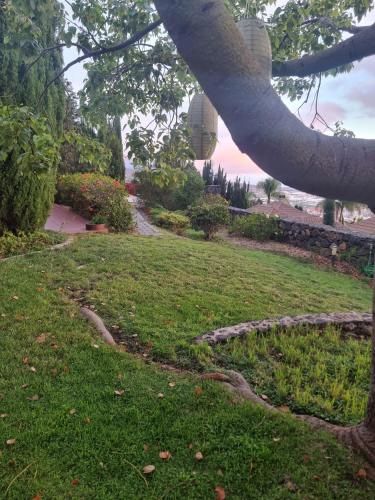 Outdoor Pictures 12
