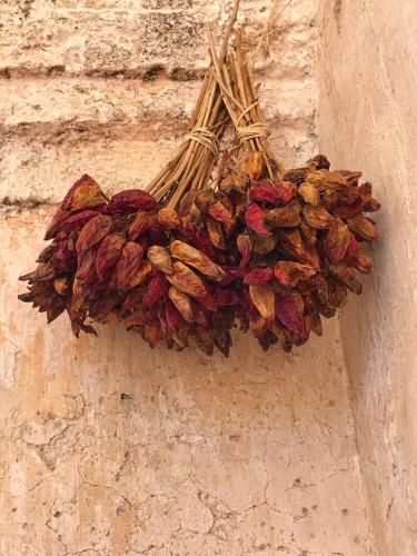 Outdoor Pictures 7