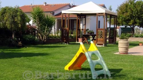 Outdoor Pictures 9