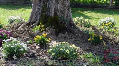 Outdoor Pictures 10