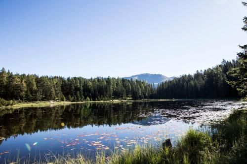 Outdoor Pictures 23