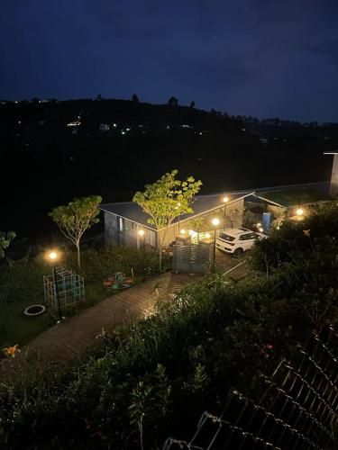 Outdoor Pictures 24