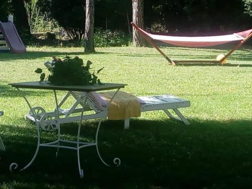 Outdoor Pictures 10