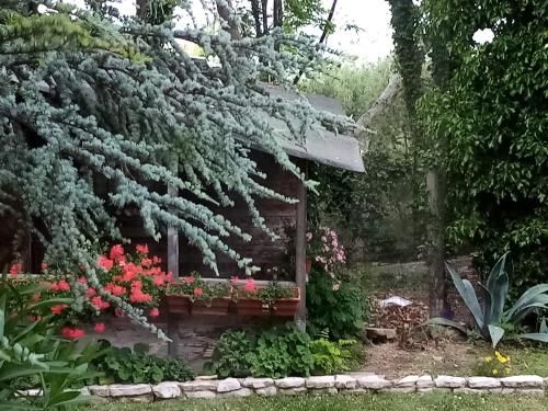 Outdoor Pictures 21