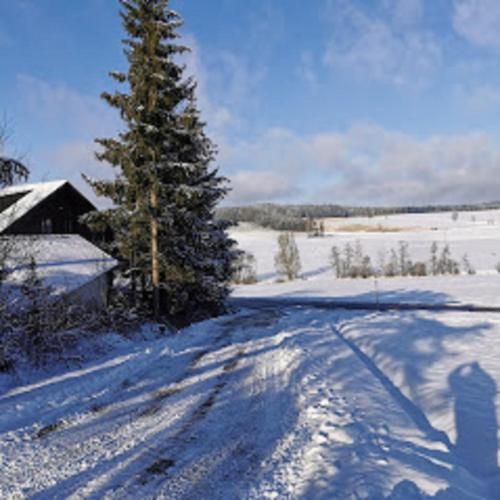 Ferienwohnung zum Forsthaus