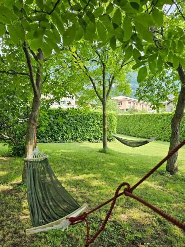 Outdoor Pictures 16