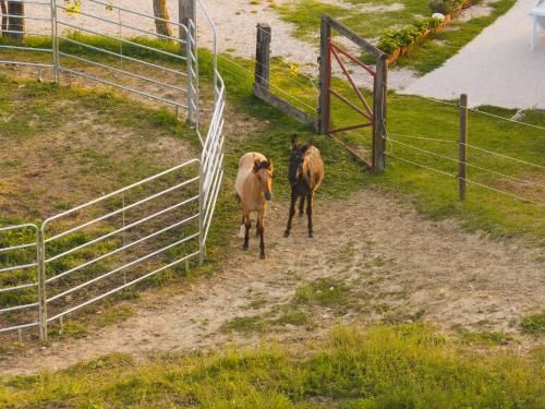 Outdoor Pictures 20