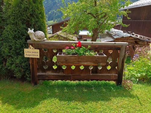 Outdoor Pictures 10