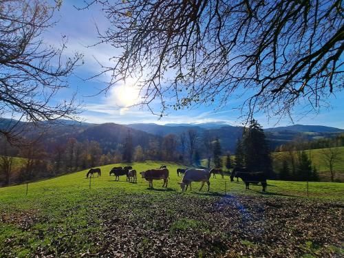Outdoor Pictures 24