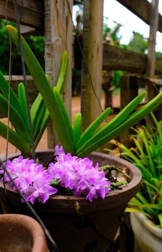Outdoor Pictures 24
