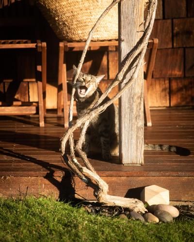 Outdoor Pictures 6