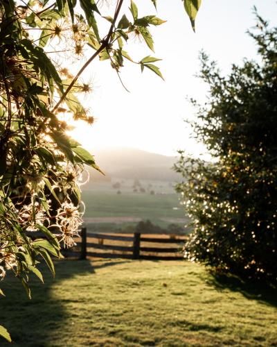 Outdoor Pictures 7