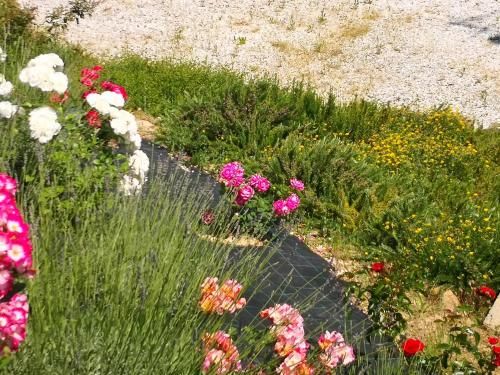 Outdoor Pictures 21