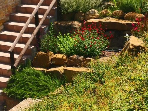 Outdoor Pictures 22