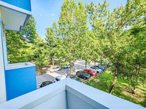 Outdoor Pictures 21