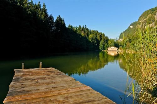 Outdoor Pictures 9