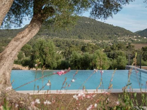 Finca Treurer - Olive Grove & Grand House - Adults Only