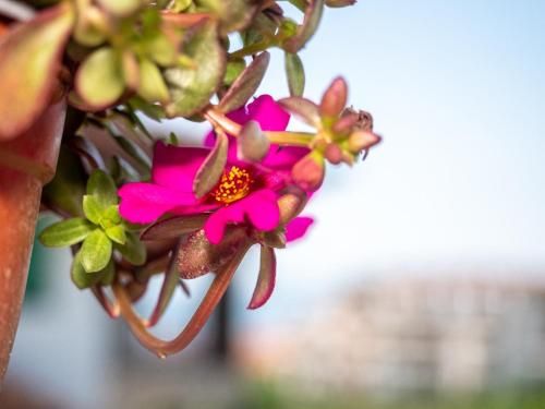 Outdoor Pictures 23