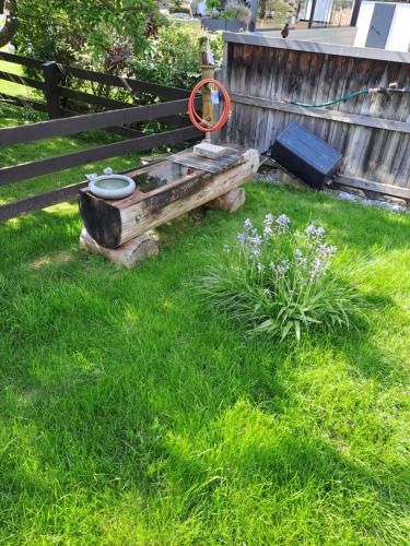 Outdoor Pictures 5