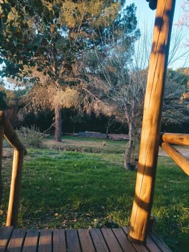 Outdoor Pictures 10