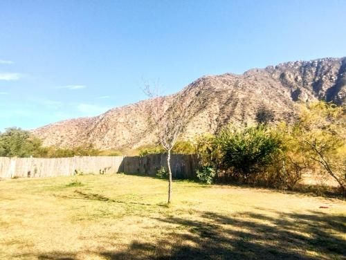 Outdoor Pictures 11