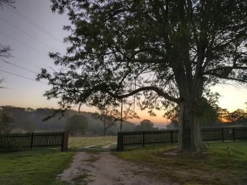Outdoor Pictures 4