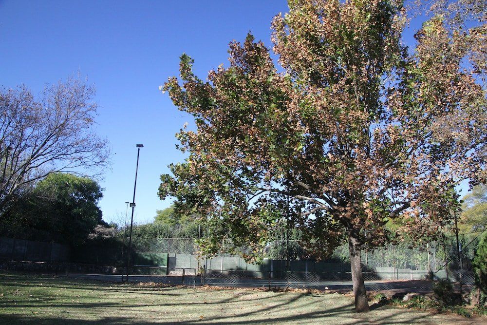 Outdoor Pictures 7