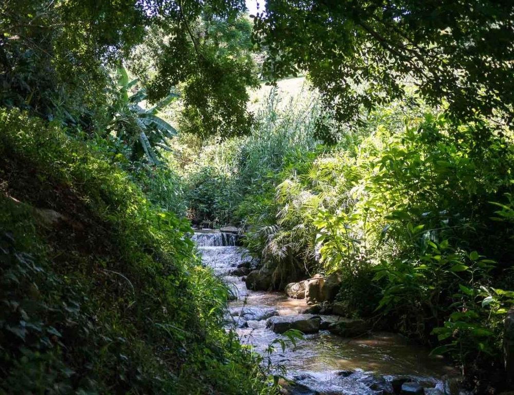 Outdoor Pictures 4