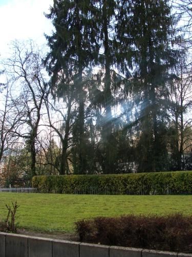 Outdoor Pictures 12