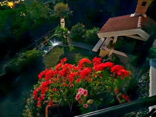 Outdoor Pictures 12