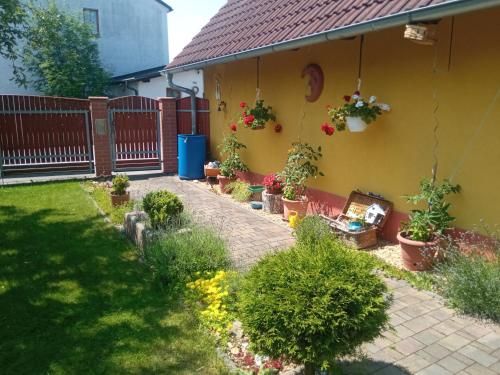 Outdoor Pictures 8