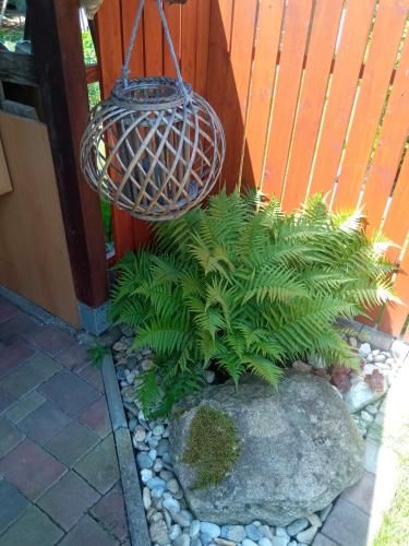 Outdoor Pictures 9