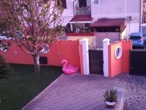 Outdoor Pictures 1