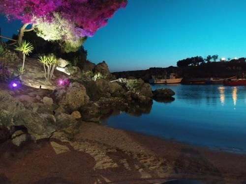 Outdoor Pictures 5