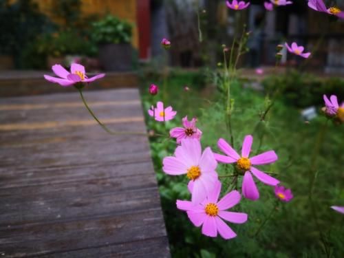 Outdoor Pictures 14