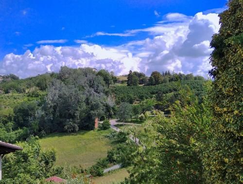 Outdoor Pictures 24